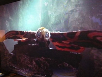 a shot of mothra from last night’s movie