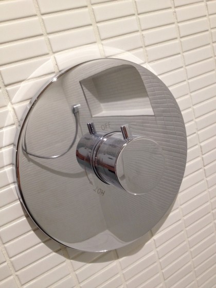 the shiny shower controls