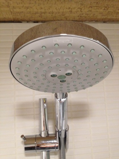 Hans Grohe showerhead